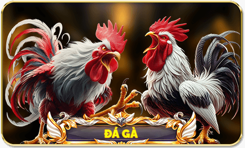 da-ga-cuc-hot-sv388