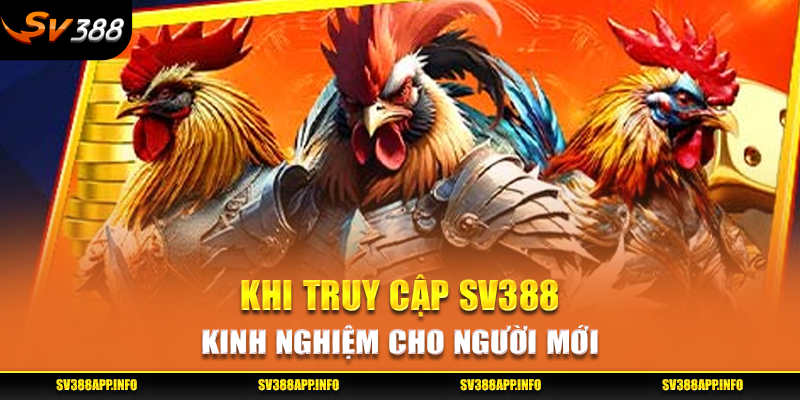 Kinh nghiệm khi truy cập SV388 cho người mới